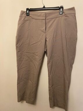 Women's Taupe Below Knee length dress pants size 14